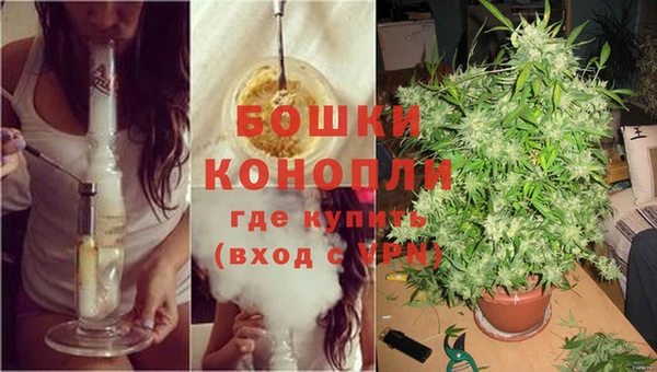 мяу мяу мука Балабаново